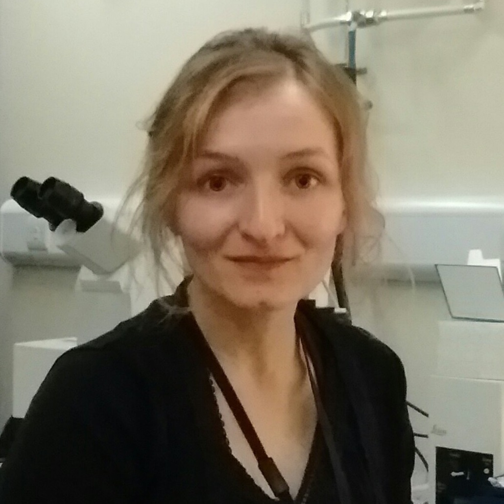 Bethan Lloyd Lewis